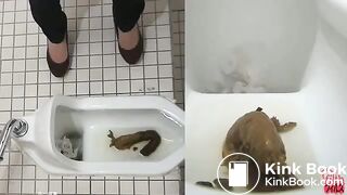 Poopeegirls - Young Asian diarrhea in the toilet with a webcam