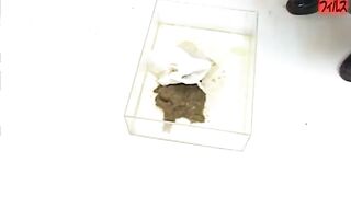 Amateur Lingerie Poop - Scene J