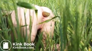 Poop in barley field