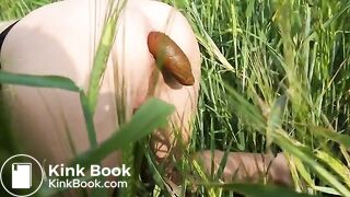 Poop in barley field