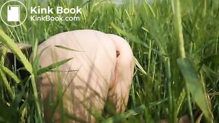 Poop in barley field