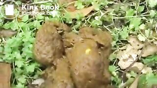 peeing and pooping outside