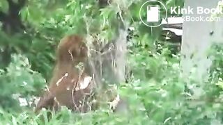 peeing and pooping outside