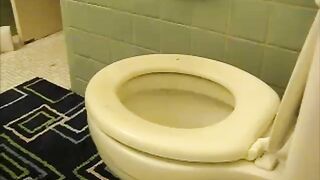 Ass On Toilet Views 3