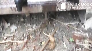 NSG groso brune pile