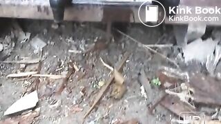 NSG groso brune pile