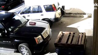 spy_cam_parking_shit