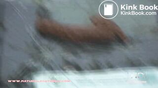 NSG blond long shitting toit de voiture