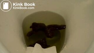 CORY CHASE SHITS ON TOILET