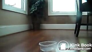 Hot girl shitting compilation