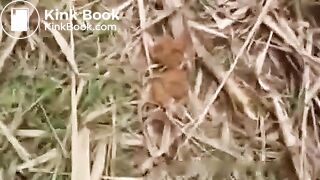 Girl diarrhea in pond