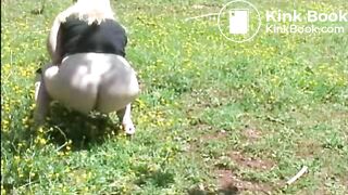 diese geile sau