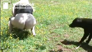 diese geile sau