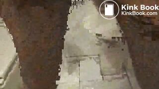 great_fishnet_shit_and_smear_couple