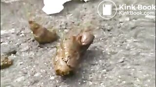 asian outdoor poop 2