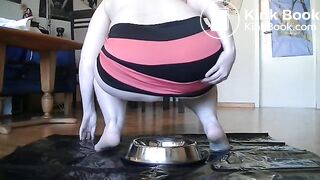 nice fat poo in dog bowl