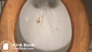 Wooden Toilet Seat Chronicles 1