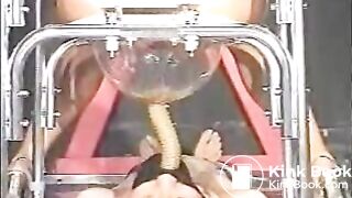 das sklavenschwein zwangsfütterung