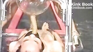 das sklavenschwein zwangsfütterung