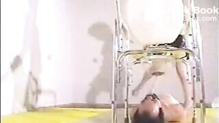 das sklavenschwein zwangsfütterung