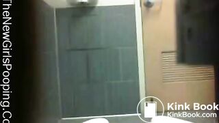 Public Restroom View 7