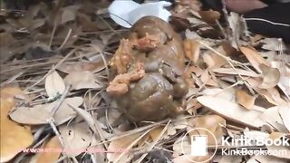 Sexy Babe Poops outside