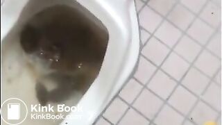 overloaded toilet