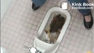 overloaded toilet