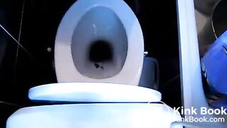 overhead-sideview toilet