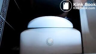 overhead-sideview toilet