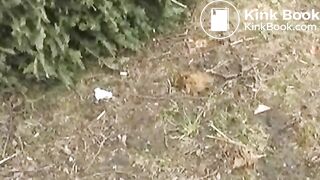 NSG Shitting in public parc