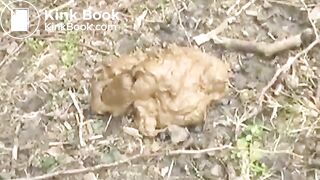 NSG Shitting in public parc