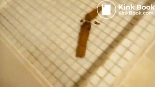 teen shits in bathroom