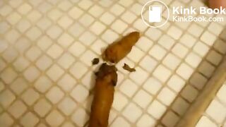 teen shits in bathroom