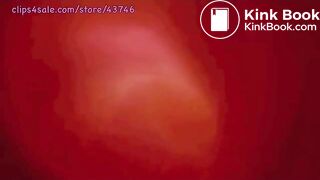 Life of Kelly's Food