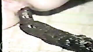 poop-long_turd