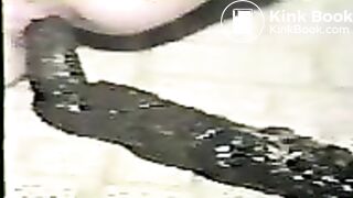 poop-long_turd