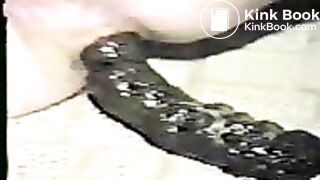poop-long_turd