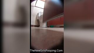 Asian Western Toilet Voyeur