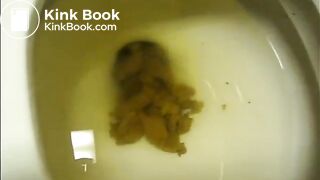 Ass On Toilet Views 2