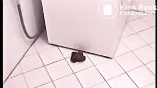 Pregnant girl pooping
