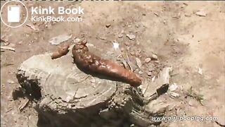 Big poop on tree stump