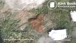 NSG brune poop rocher