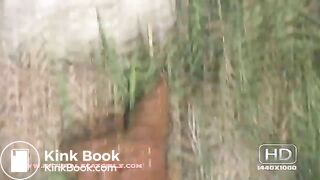 NSG brune poop rocher