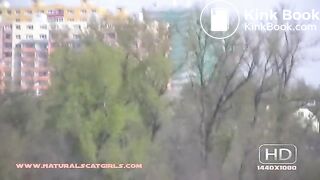 NSG brune poop rocher