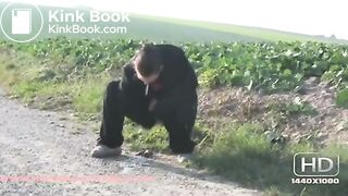 NSG beautiful ootdhor shit