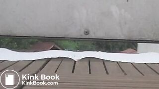 NSG big pied big scat