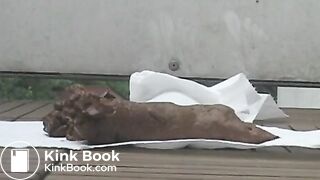 NSG big pied big scat