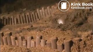bath4-clip