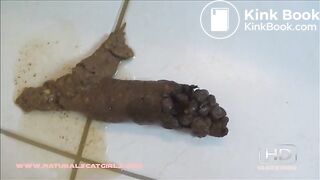 bathroom floor poop